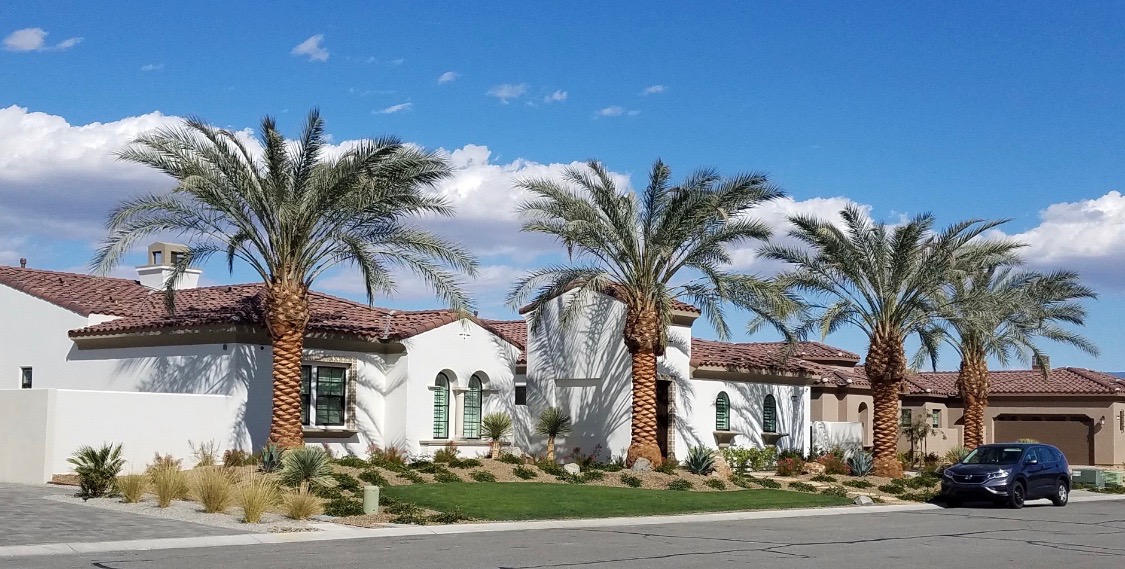 Mature Medjool date palms installed at a Mediterranean-style luxury residence